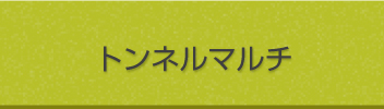 トンネルマルチ