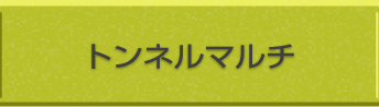 トンネルマルチ