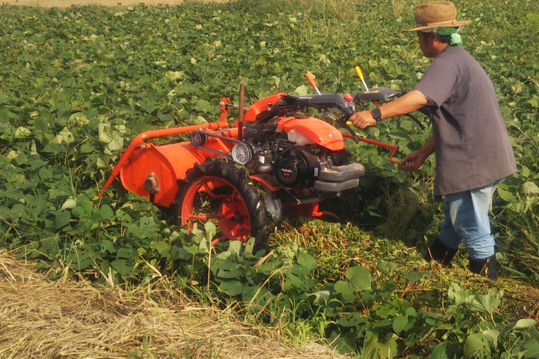 作業用途別 詳細｜藤木農機製作所｜管理機・トラクタアタッチメント